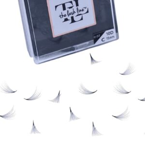 Pro Made Fan 10D  (500 Fans)